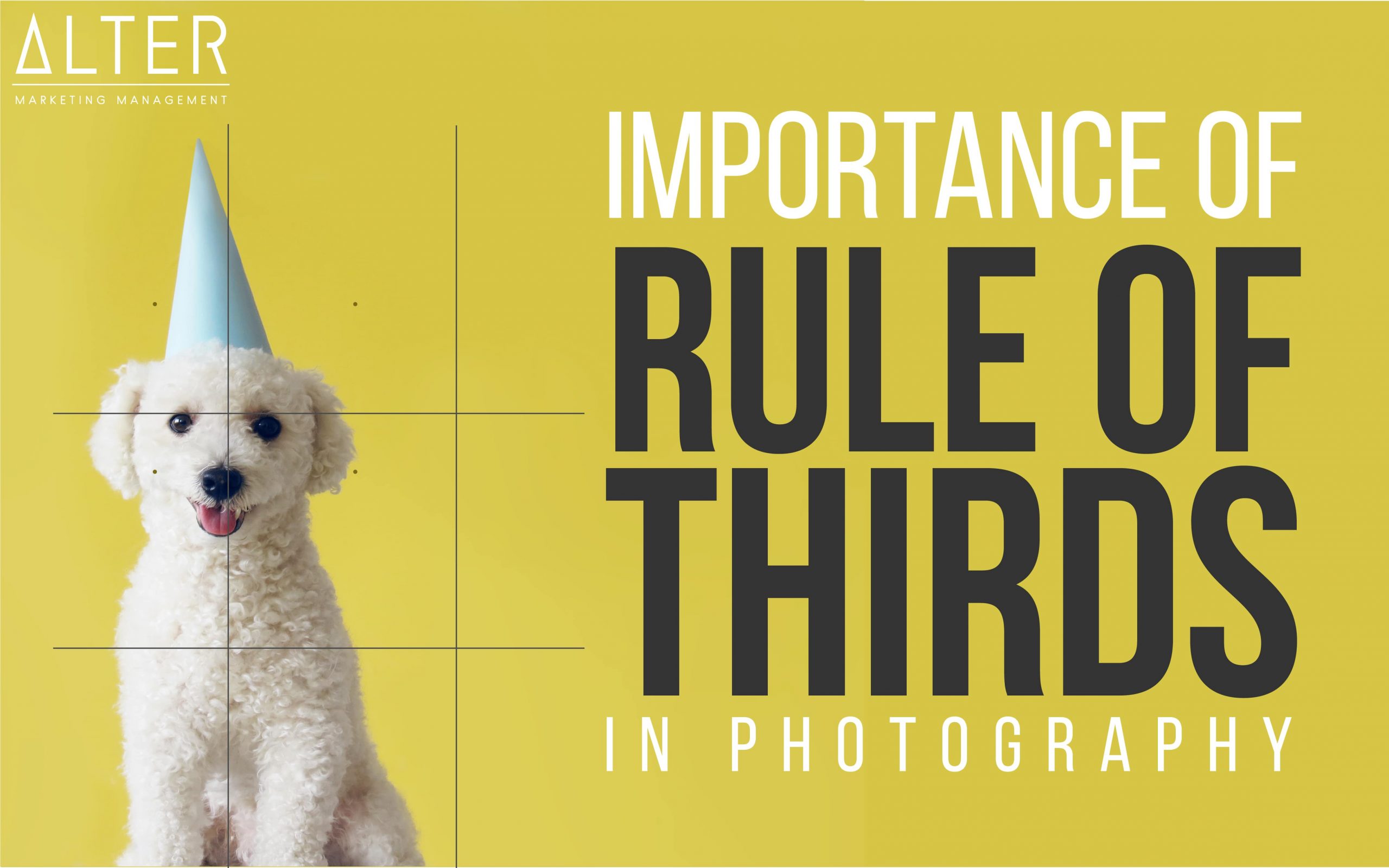 Importance of Rule of thirds in photography